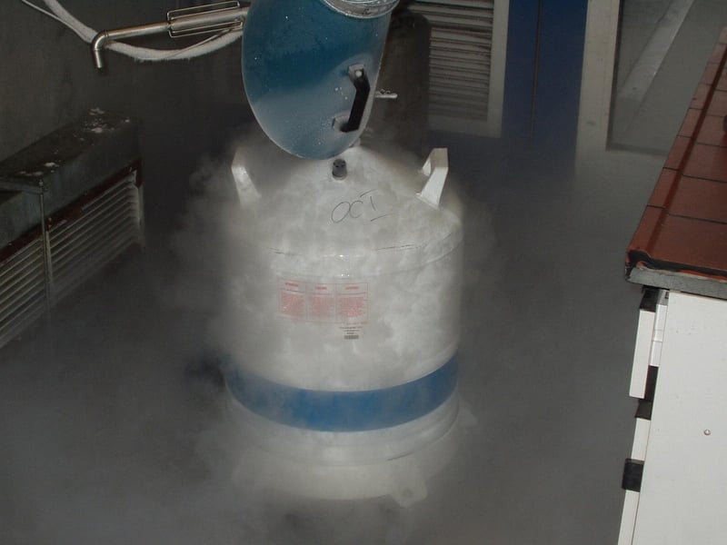 Liquid Nitrogen Dessert